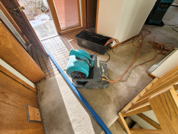 Best Flooded house restoration  in Willow Springs, MO