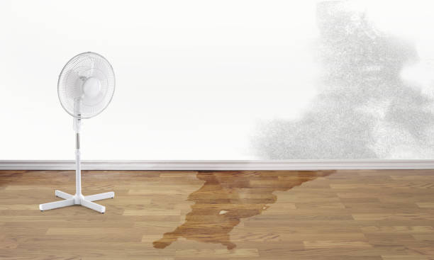 Best Water damage restoration process  in Willow Springs, MO