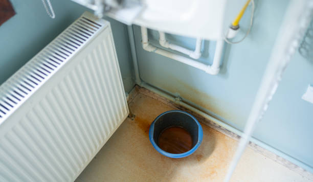 Best Water damage cleanup near me  in Willow Springs, MO