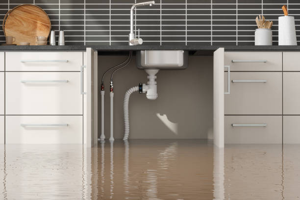 Best Basement water damage restoration  in Willow Springs, MO